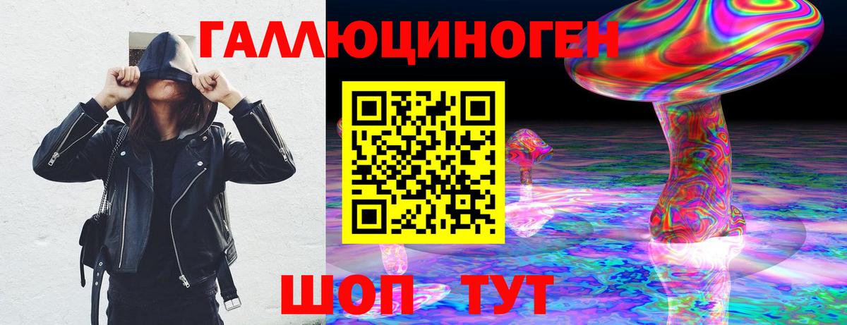 Элиста  Псилоцибиновые грибы Psilocybe  Вход с VPN  Псилоцибиновые грибы Magic Shrooms 